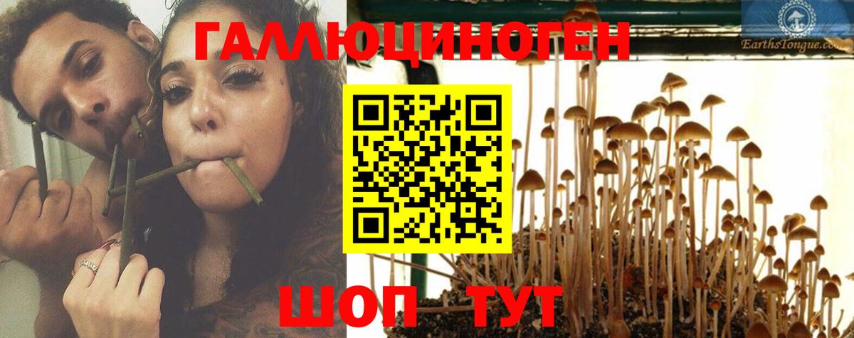 Псилоцибиновые грибы Psilocybe  Вход с VPN  Галлюциногенные грибы мухоморы  Советск 